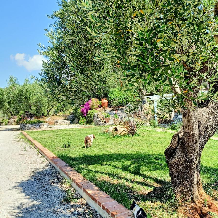 Tarohouse Appartement Marina di Camerota