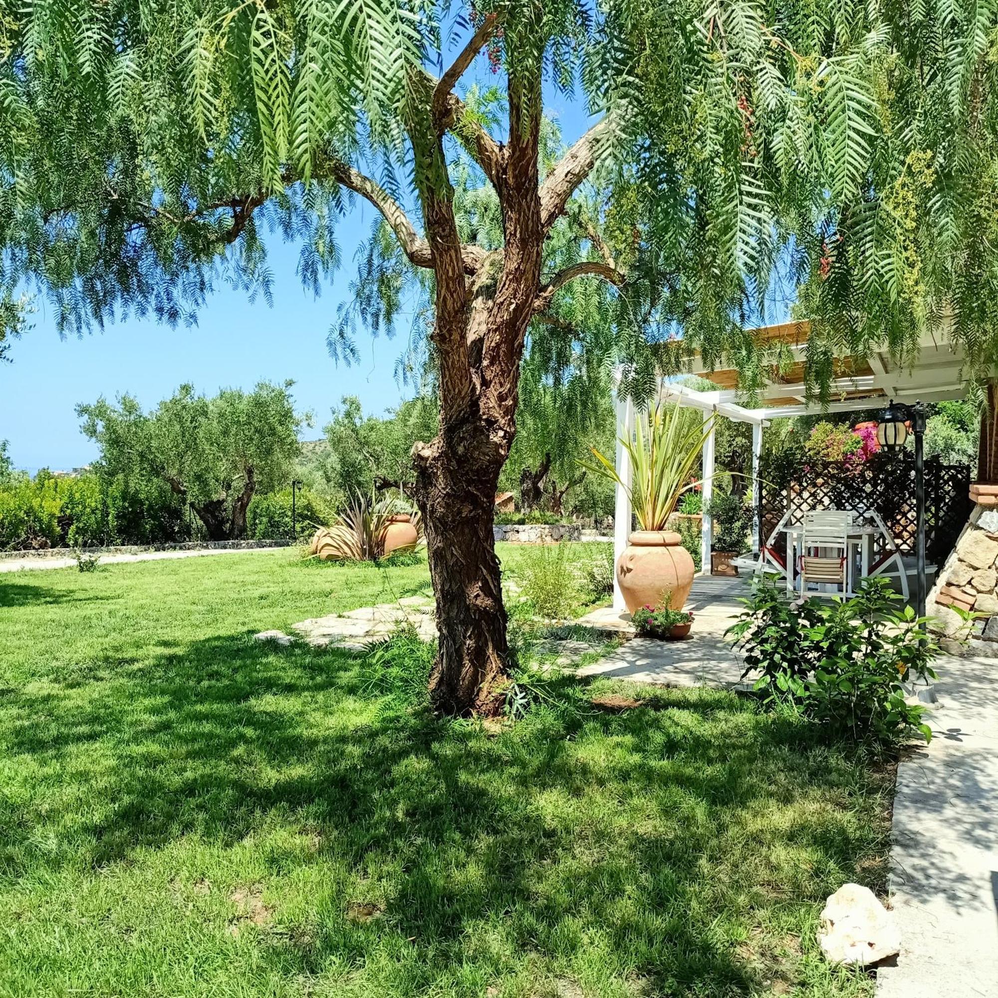 Tarohouse Appartement