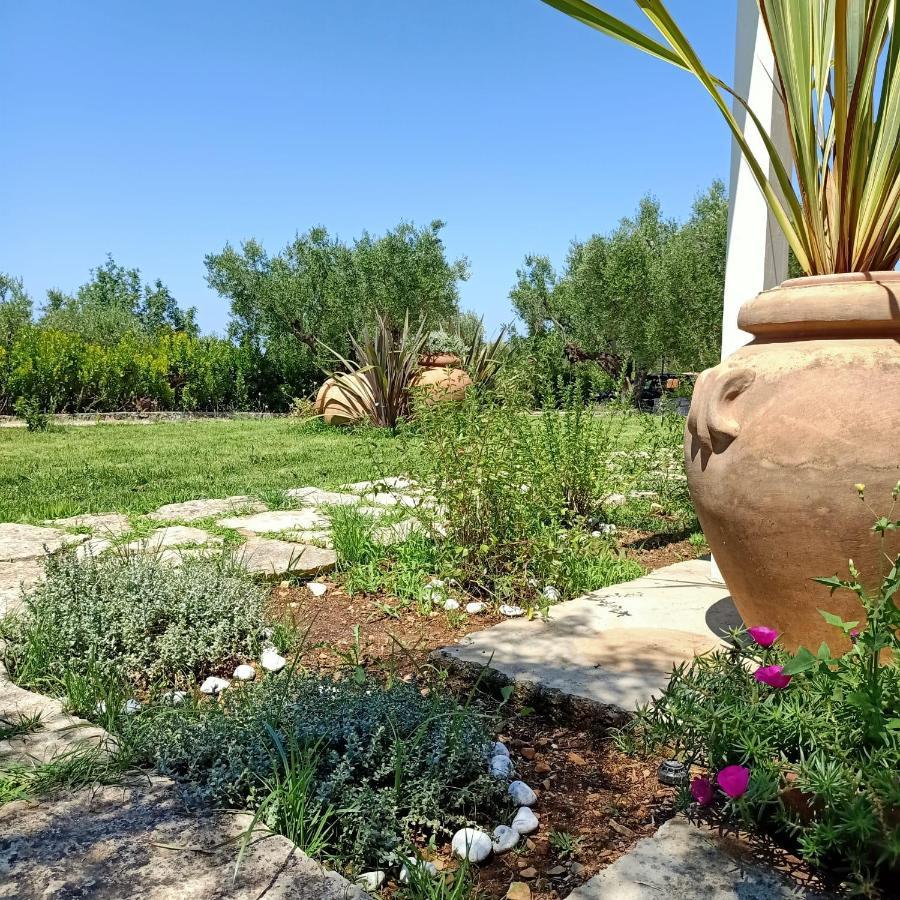 Tarohouse Apartment Marina di Camerota