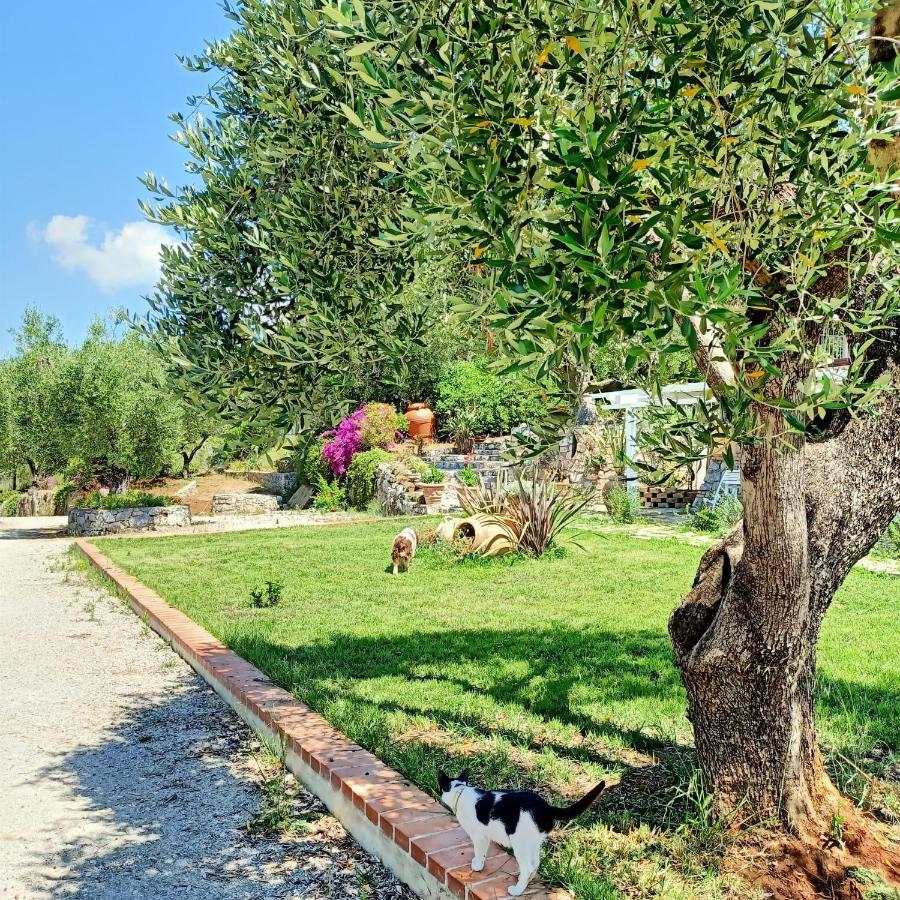 Tarohouse Marina di Camerota